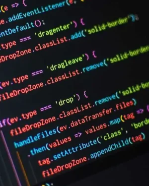 5 Developer hours